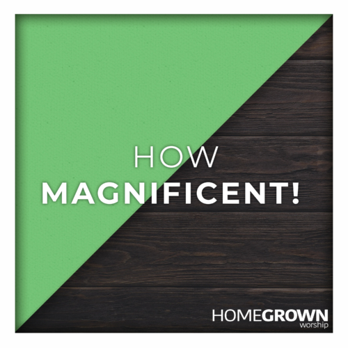 Homegrown Worship - How Magnificent
